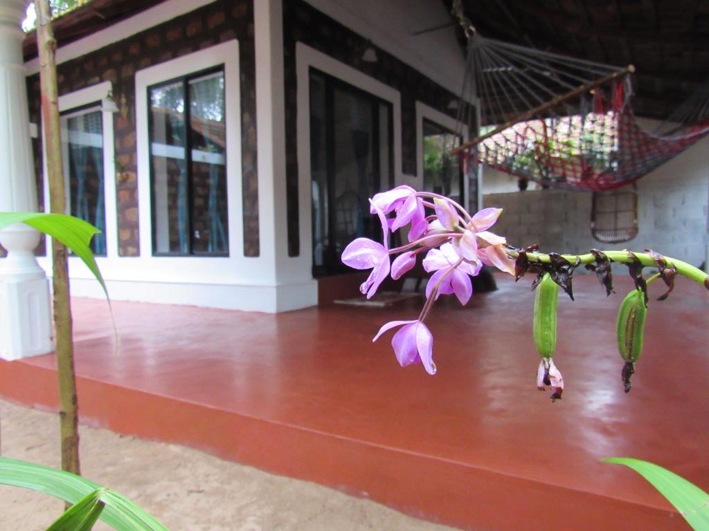 Marari Dreamz Villa Alappuzha Exterior photo